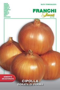 Yellow Golden Onion ''Dorata di Parma'' ~100+ Top Quality Seeds Professional 